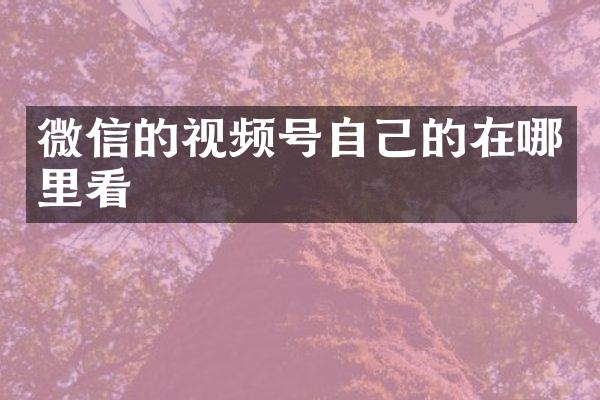 微信的视频号自己的在哪里看