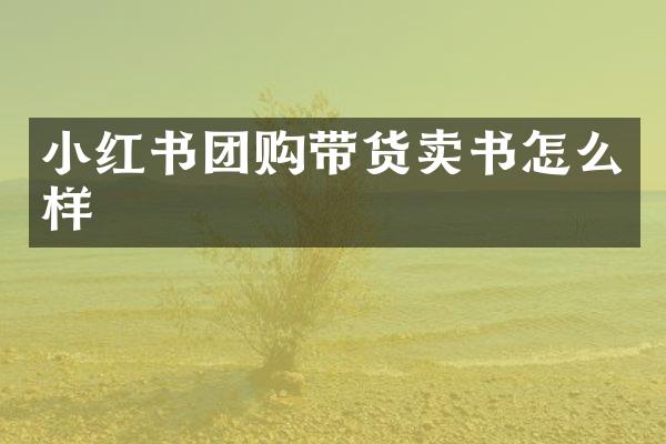 小红书团购带货卖书怎么样