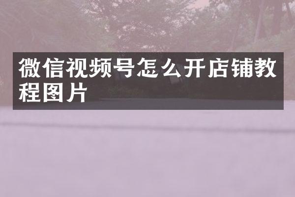 微信视频号怎么开店铺教程图片