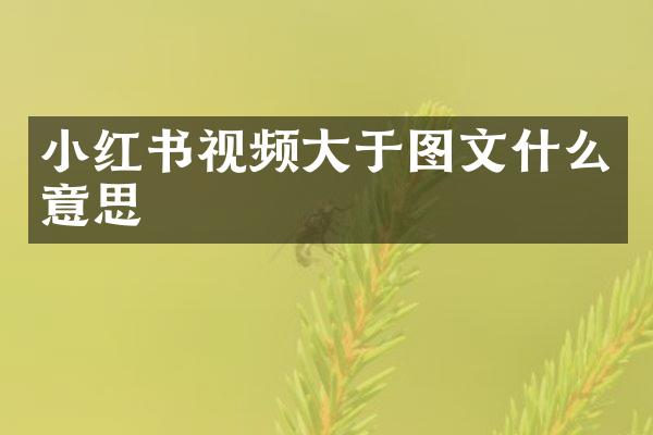 小红书视频大于图文什么意思