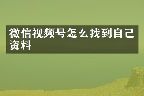 微信视频号怎么找到自己资料