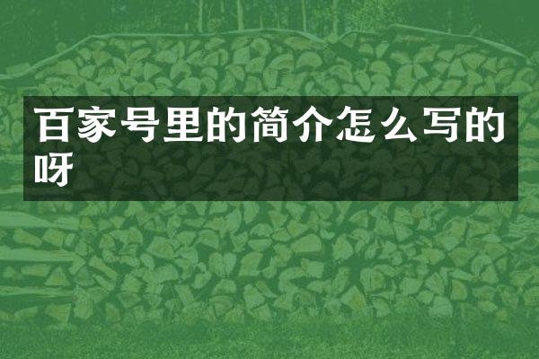 百家号里的简介怎么写的呀