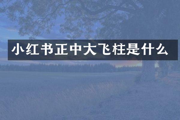 小红书正中大飞柱是什么