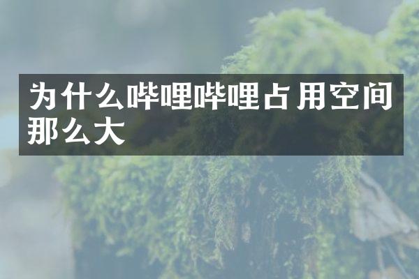 为什么哔哩哔哩占用空间那么大