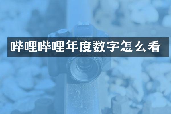 哔哩哔哩年度数字怎么看
