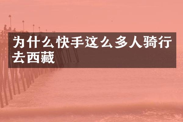 为什么快手这么多人骑行去西藏