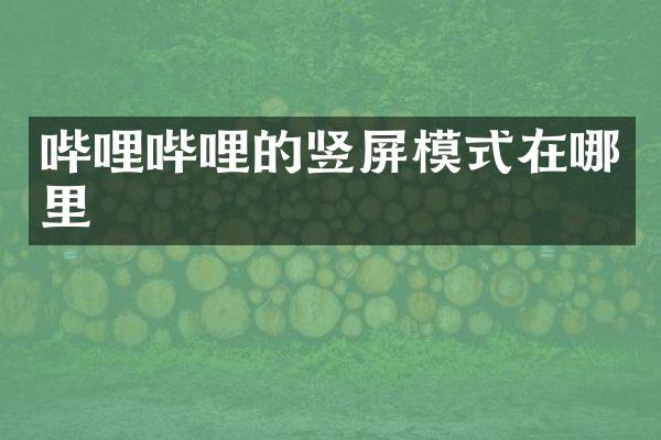 哔哩哔哩的竖屏模式在哪里