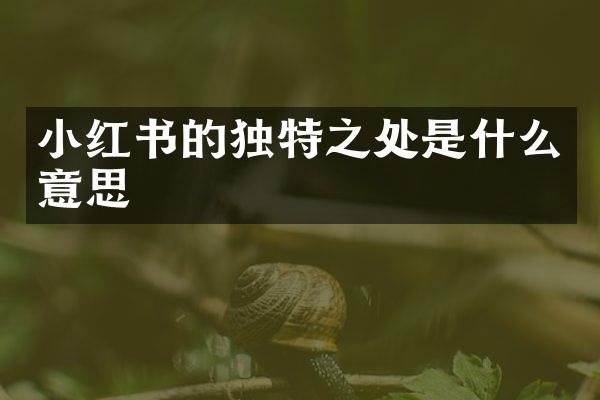 小红书的独特之处是什么意思
