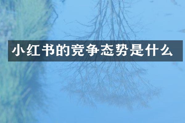 小红书的竞争态势是什么