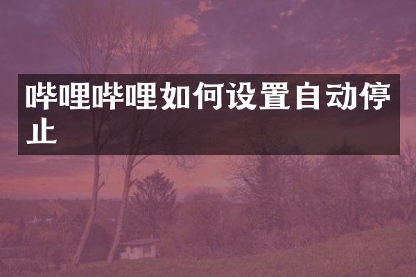 哔哩哔哩如何设置自动停止