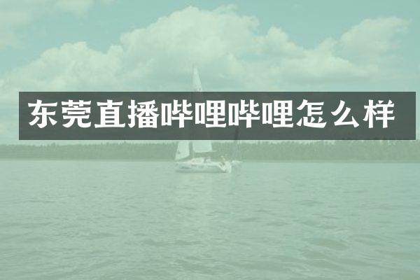 东莞直播哔哩哔哩怎么样