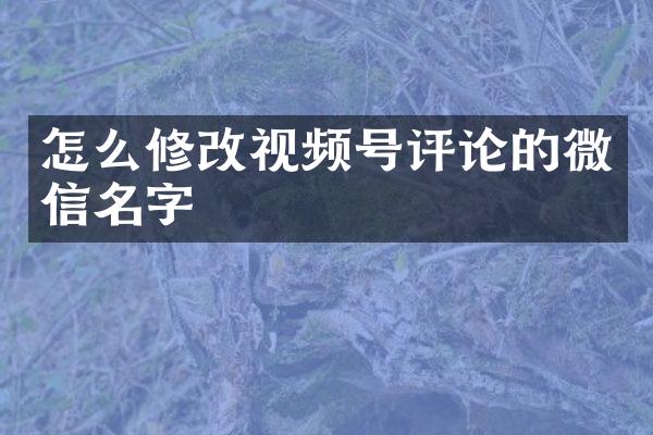 怎么修改视频号评论的微信名字