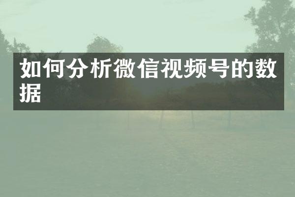 如何分析微信视频号的数据
