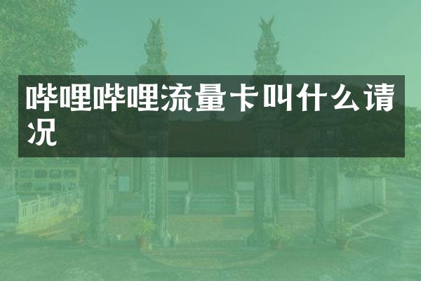 哔哩哔哩流量卡叫什么请况