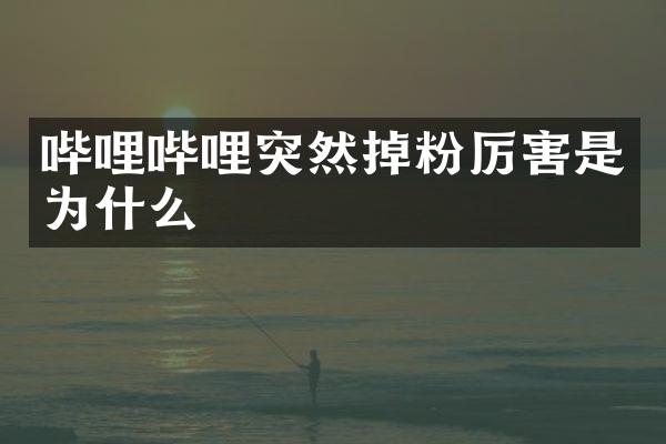 哔哩哔哩突然掉粉厉害是为什么