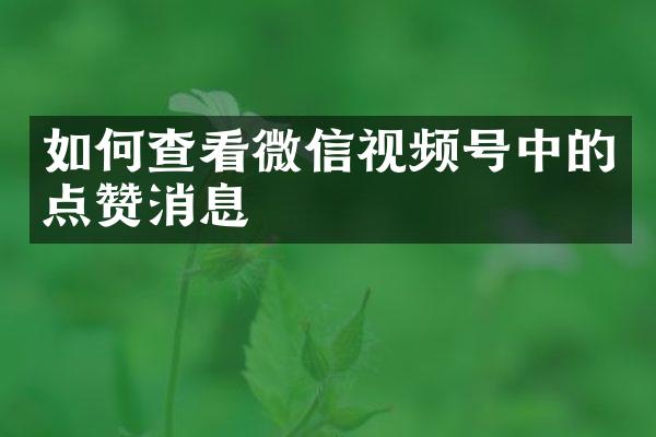 如何查看微信视频号中的点赞消息