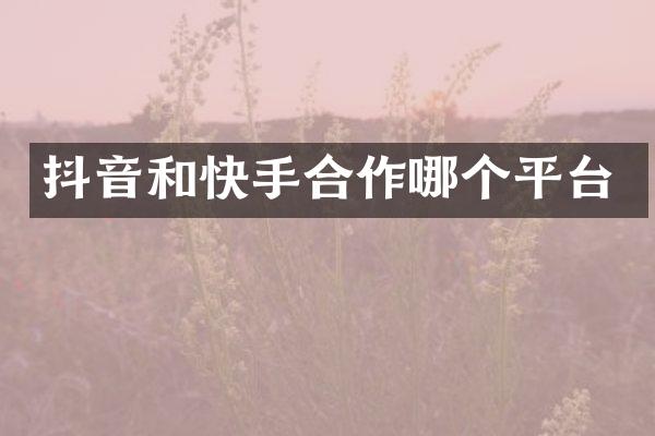 抖音和快手合作哪个平台