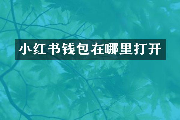 小红书钱包在哪里打开