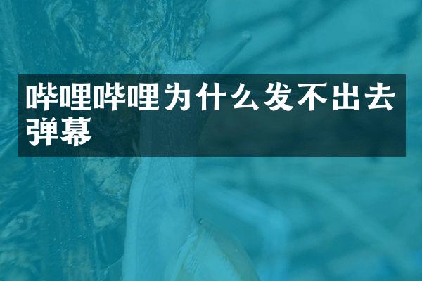哔哩哔哩为什么发不出去弹幕