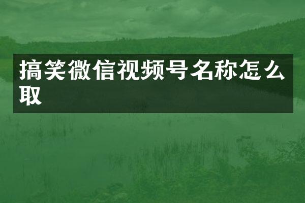 搞笑微信视频号名称怎么取