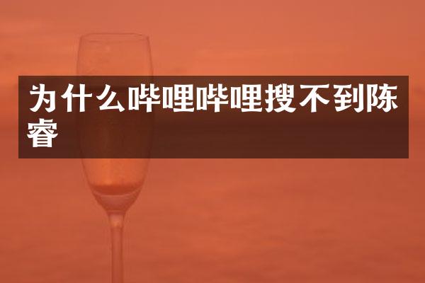 为什么哔哩哔哩搜不到陈睿