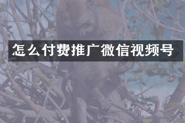怎么付费推广微信视频号