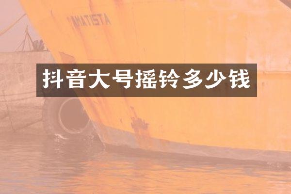 抖音大号摇铃多少钱
