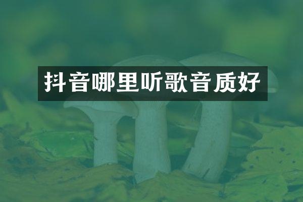 抖音哪里听歌音质好