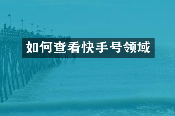 如何查看快手号领域