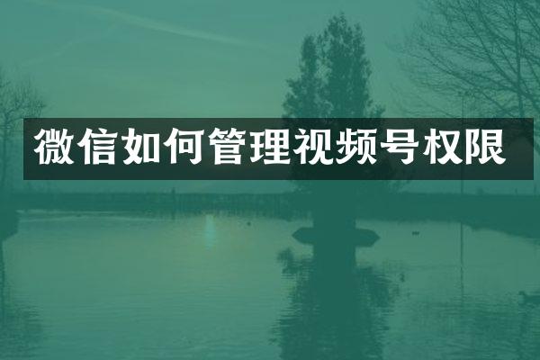 微信如何管理视频号权限