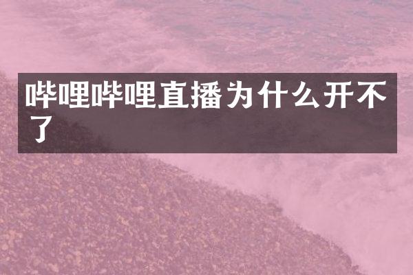 哔哩哔哩直播为什么开不了