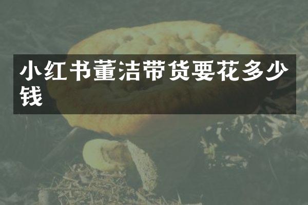 小红书董洁带货要花多少钱
