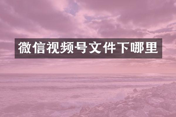 微信视频号文件下哪里