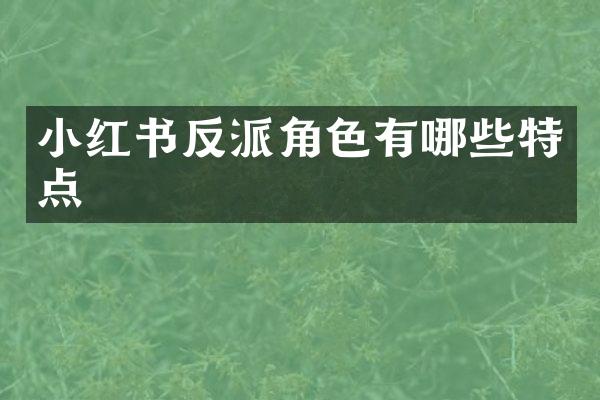 小红书反派角色有哪些特点
