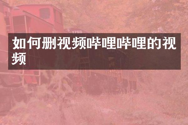 如何删视频哔哩哔哩的视频
