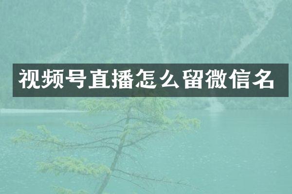 视频号直播怎么留微信名