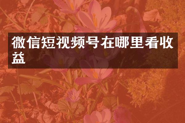 微信短视频号在哪里看收益