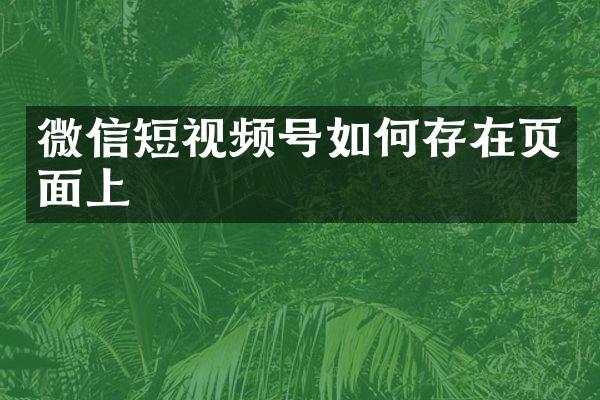 微信短视频号如何存在页面上