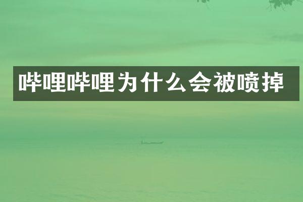 哔哩哔哩为什么会被喷掉