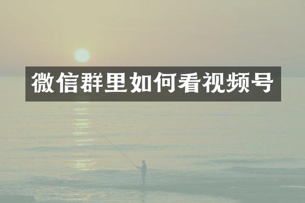 微信群里如何看视频号