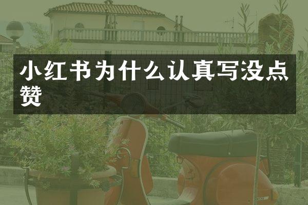 小红书为什么认真写没点赞