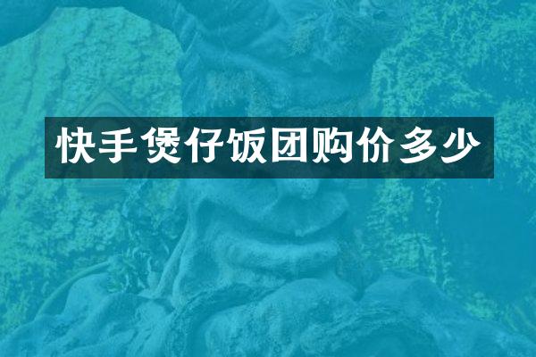 快手煲仔饭团购价多少