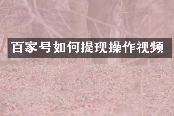 百家号如何提现操作视频