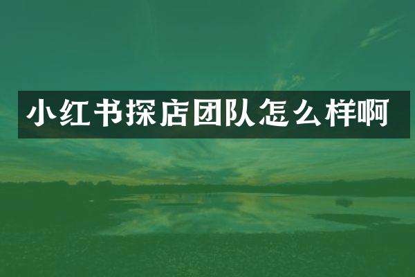 小红书探店团队怎么样啊