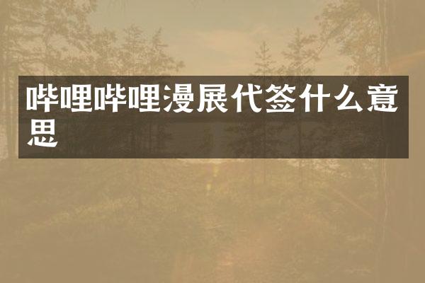 哔哩哔哩漫展代签什么意思