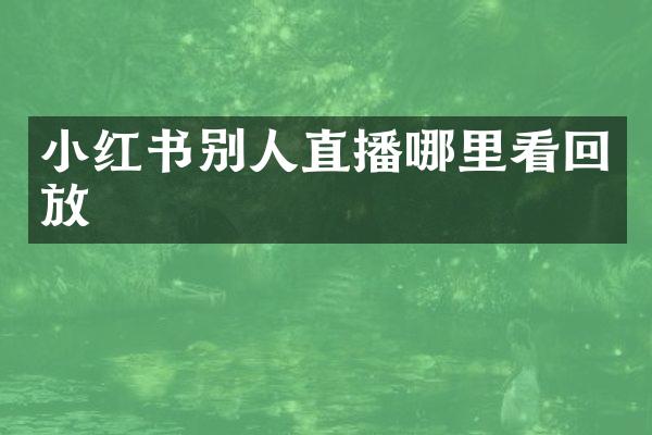 小红书别人直播哪里看回放