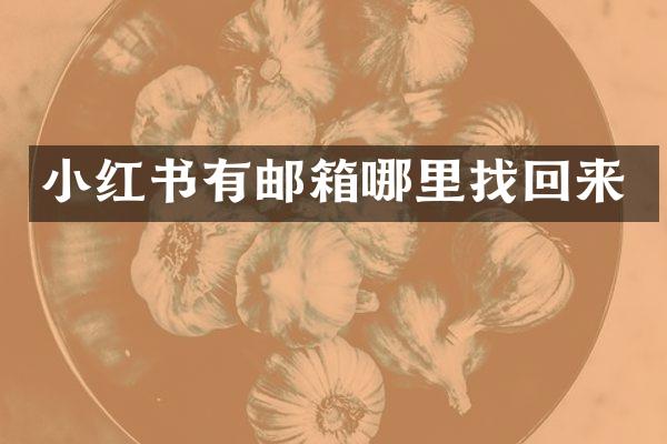 小红书有邮箱哪里找回来