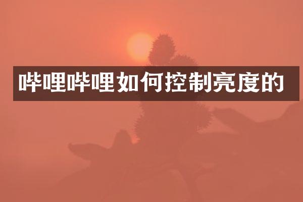 哔哩哔哩如何控制亮度的