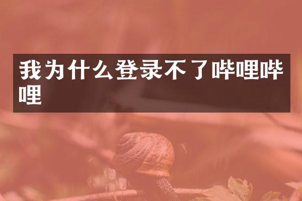 我为什么登录不了哔哩哔哩