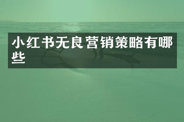 小红书无良营销策略有哪些